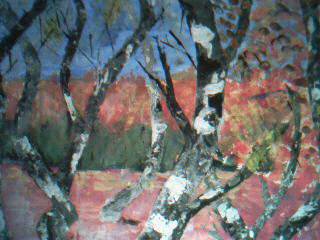 autumnbirch.jpg