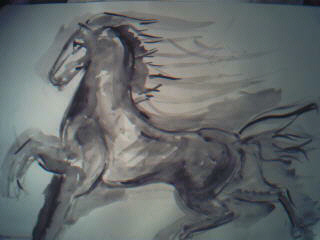 horsie.jpg